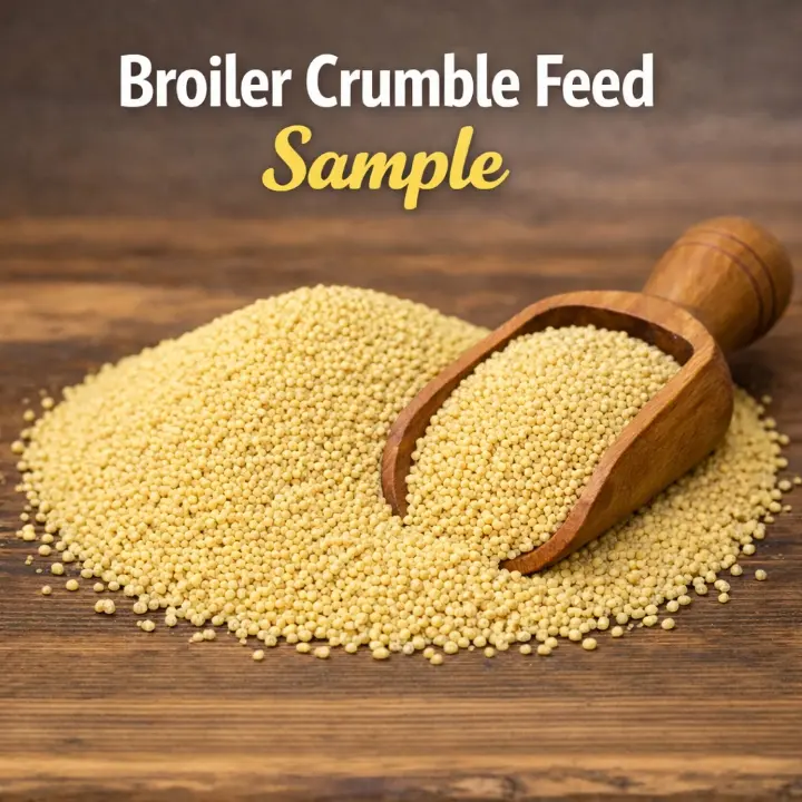 A sample of a broiler crumble feed